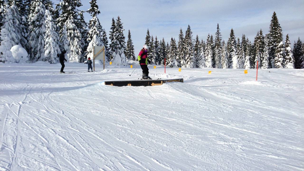 Anfänger-Skikurse - aber auch für Fortgeschrittene